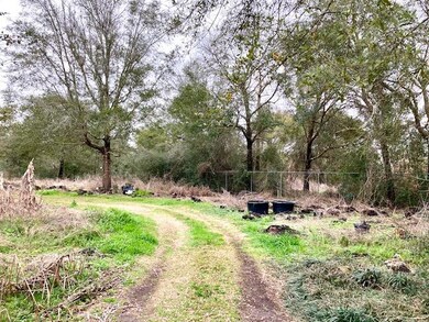 Driveway on Lot 16