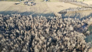 4 Duncan St, Manchester, TN 37355 - photo 5