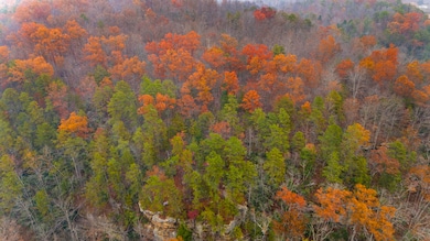 DJI_20251110133917_0023_D