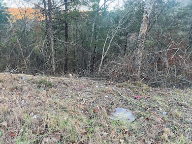 790 Pomme de Terre Rd, Scott Township, MO 65616 - photo 4