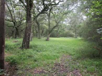 0 Private Road 648 Cedar Lake St unit 76367767, Cedar Lake, TX 77414 - photo 4