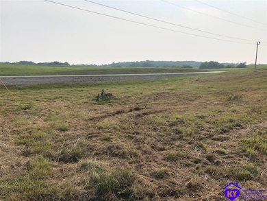 1900 By Pass Rd, Brandenburg, KY 40108 - photo 3