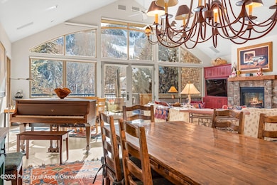 990 E Hopkins Ave, Aspen, CO 81611 - photo 6