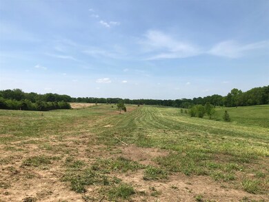 View off your future back porch