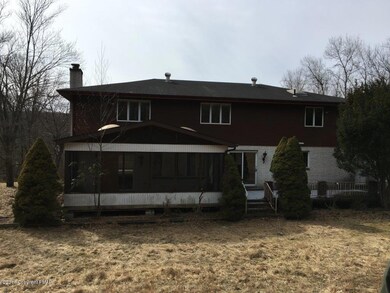Back view