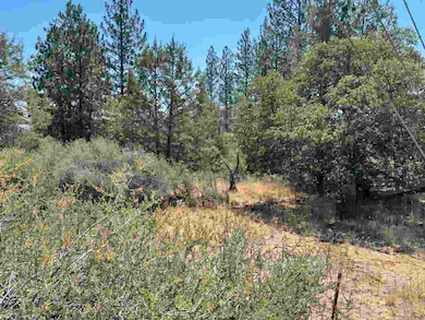 100+- Taylor Ave, Yreka, CA 96097 - photo 2