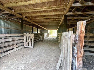 IMG_7337