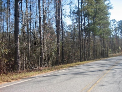 8050 Campbellton Redwine Rd, Palmetto, GA 30268 - photo 3