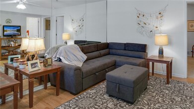 Newer pull out sectional provides additional sleep
