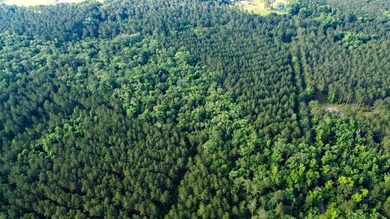 Sparks Lane SC Land for Sale-4