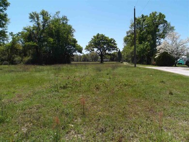 59 Daniel Ln unit x, Crawfordville, FL 32327 - photo 3