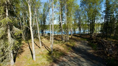 L33 Red Fox Ln, Kasilof, AK 99610 - photo 7