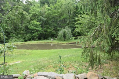 3719 Fiery Run Rd, Linden, VA 22642 - photo 5