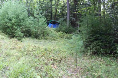 000 Langway Rd unit Lot 13, Lyman, NH 03585 - photo 3