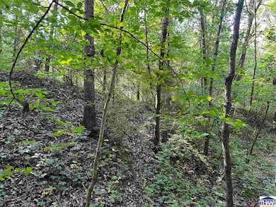 0 S Gorton Rd, Clinton Township, IN 47842 - photo 3