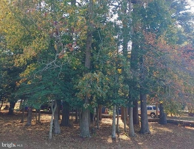 5 and 7 Woodland Ave, Ocean View, DE 19970 - photo 5