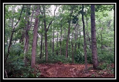 35681 Moore Rd, Union Furnace, OH 43158 - photo 3