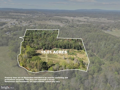 220 Chestnut Grove Rd, Winchester, VA 22603 - photo 2