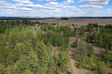 35430 Prairie Ln N unit Lot 3, Creston, WA 99117 - photo 6