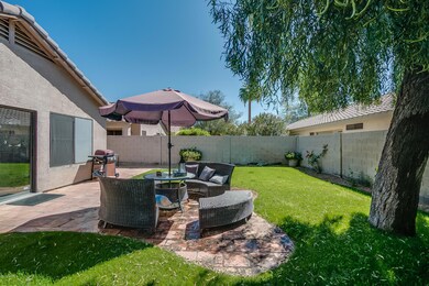 Back yard brick pavers