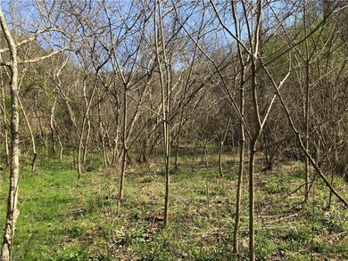 1455 Caseys Branch Rd, Purlear, NC 28665 - photo 6