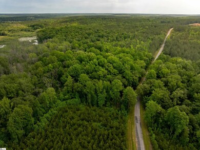 00 Elford Grove Rd unit Tract 1, Jonesville, SC 29353 - photo 6