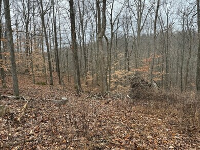Rolling hills. Lots of wildlife