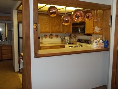 Timberbrook Village Condos unit Timberbrook A313, Brian Head, UT 84719 - photo 3