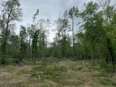 Lot H Easement Off of River Bend Rd, Columbia, MS 39429 - photo 5