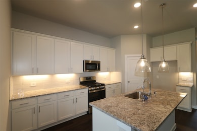 21807 Burgos Plaza Dr, Tomball, TX 77377 - photo 3