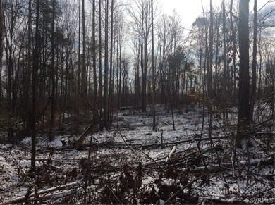 11 Bannister Town Rd, Louisa, VA 23093 - photo 3