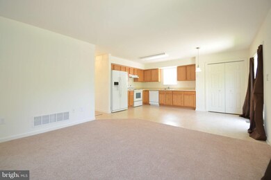 5604 Walther Ave, Baltimore, MD 21214 - photo 7