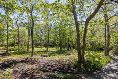 382 Edg. - VH Road, Edgartown-web-18