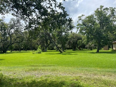 4146 County Road 461a, Brazoria, TX 77422 - photo 6