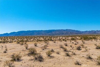 70147 Cove View Rd, Twentynine Palms, CA 92277 - photo 4