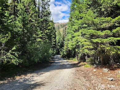 0 XX E Fork Cougar Creek Rd, Wauconda, WA 98859 - photo 6