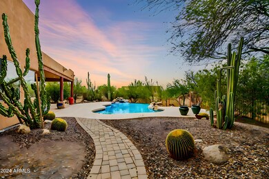 Backyard Oasis