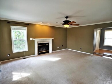 Natural Gas fireplace