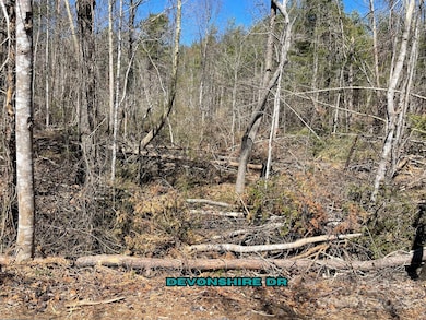 84 Union Chapel Rd, Weaverville, NC 28787 - photo 7