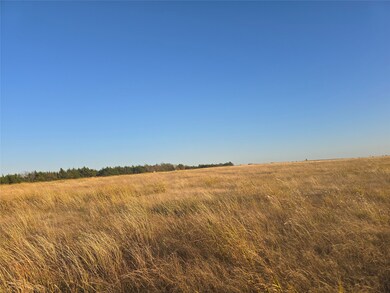 801 County Road 36010, Honey Grove, TX 75446 - photo 4