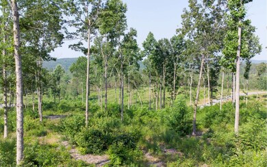 Additional View