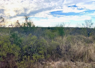 RR 1865 unit RR 1865 (Pumpville), Comstock, TX 78837 - photo 6