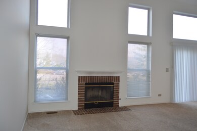 2050 Peach Tree Ln unit 4173, Algonquin, IL 60102 - photo 5