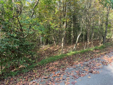 00 Country Walk, Franklin, NC 28734 - photo 4