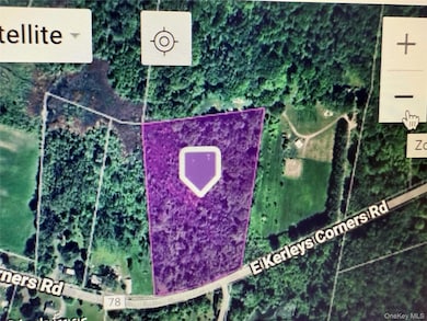 0 E Kerley Corners Rd unit KEY939271, Red Hook, NY 12401 - photo 2