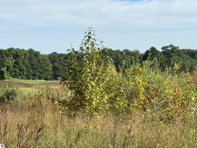 4855 Prestwick Ct, Williamsburg, MI 49690 - photo 7