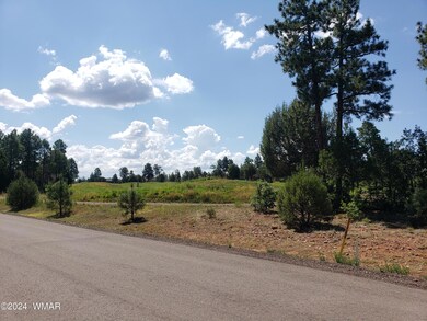 4750 W Acer Ln, Show Low, AZ 85901 - photo 2