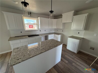 2558 Cowgirl Trail, Belton, TX 76513 - photo 7