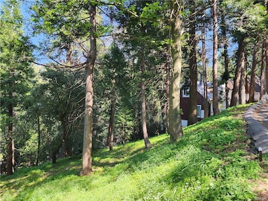 0 Deer unit 32501369, Crestline, CA 92325 - photo 7