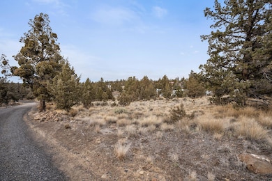14426 SW Bill's Place, Crooked River Ranch, OR 97760 - photo 4